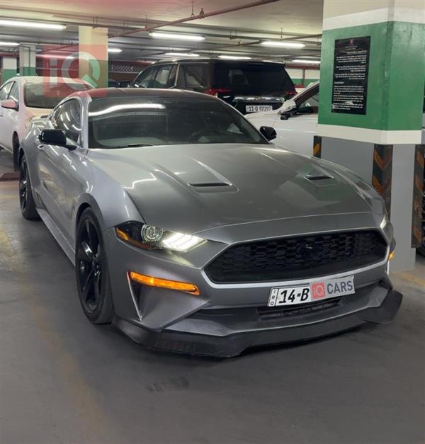 فۆرد مۆستانگ 2023 بۆ فرۆشتن لە عێراق - بەسڕا